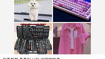 관세가 왜 나쁜 거야