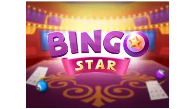 빙고 스타