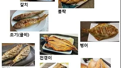 반박불가 생선구이 서열