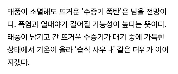 민폐만 끼치고 사라진 거지같은 종다리