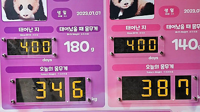 같은 400일 다른 몸무게 ????????????ㅋㅋㅋㅋㅋㅋㅋ.jpg (feat. 뚠빵이의 위엄)