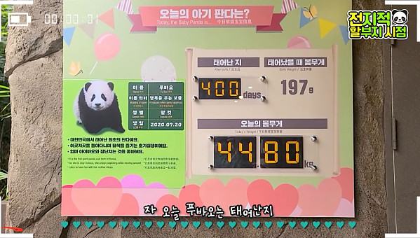 같은 400일 다른 몸무게 ????????????ㅋㅋㅋㅋㅋㅋㅋ.jpg (feat. 뚠빵이의 위엄)