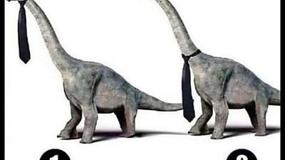 해외에서 논란 중인 문제