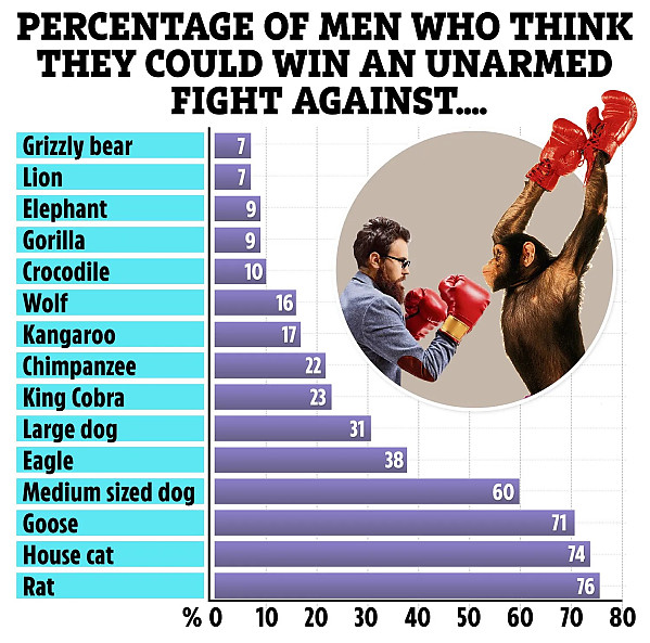 동물별 인간이 맨몸으로 싸워서 이길 수 있다고 생각하는 비율