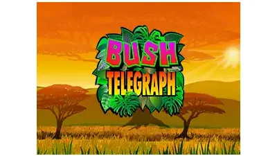 부시 텔레그래프
