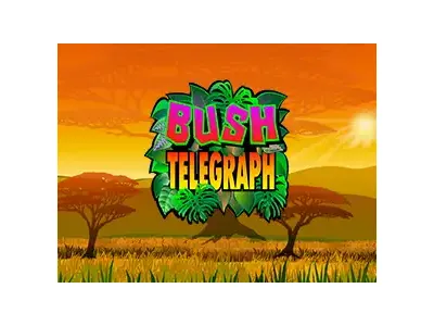 부시 텔레그래프
