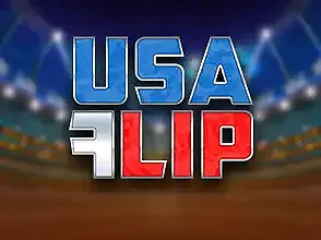 USA 플립