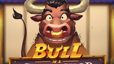BULL CHINA SHOP