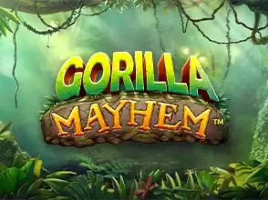 본문 첫번째 이미지