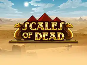 본문 첫번째 이미지